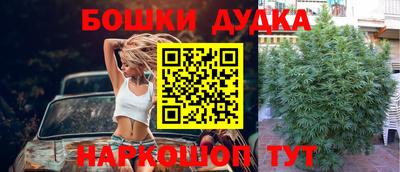 ГАЛЛЮЦИНОГЕННЫЕ ГРИБЫ Новозыбков
